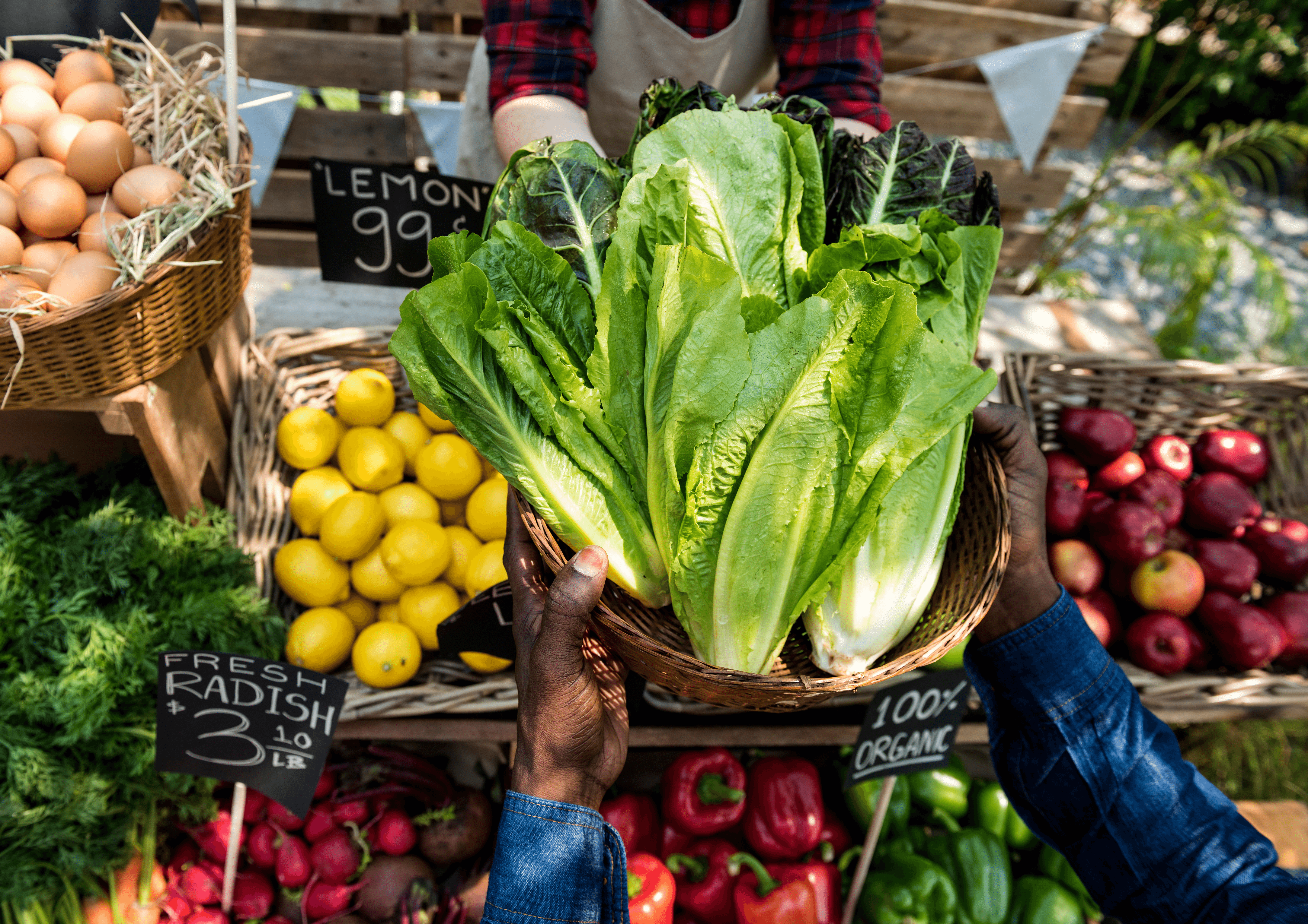 Alimentation équilibré